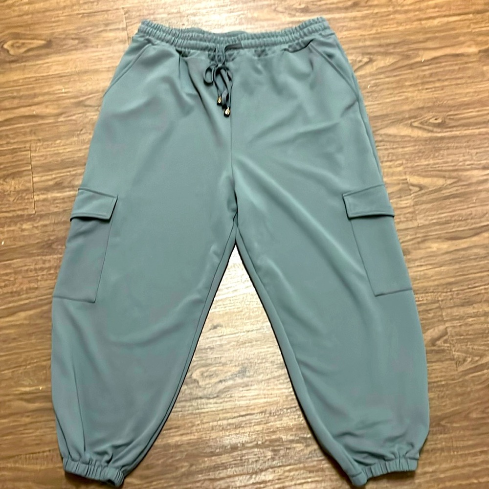 2X WOMEN’S LIKE NEW JOGGERS! CARE FREE,  COMFORTABLE BREATHABLE FABRIC!🌺🐝